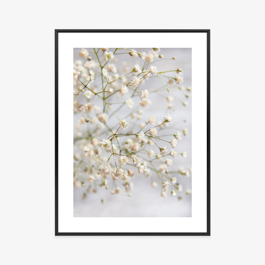 Poster Weiße Kleine Blüten An Dünnen Zweigen Rahmen Hölzern Farbe Schwarz