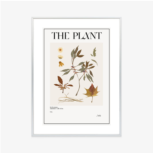 Poster Atlas Der Herbstblätter Rahmen Holz Mit Passepartout Farbe Natürlich