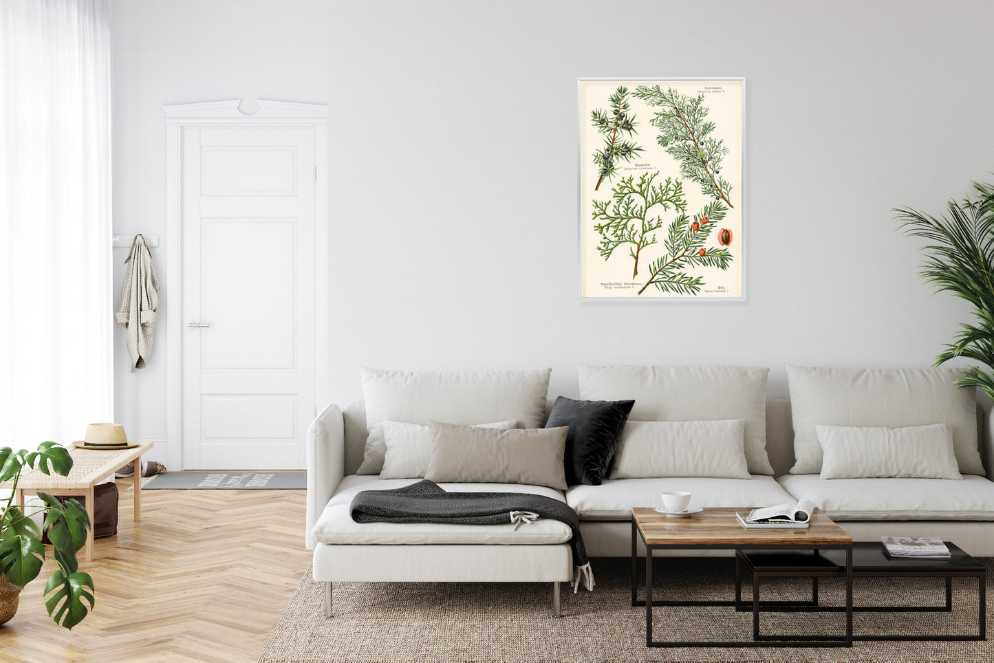 Poster Bilder Alter Botanischer Pflanzen Rahmen Aluminium Mit Passepartout Farbe Silber