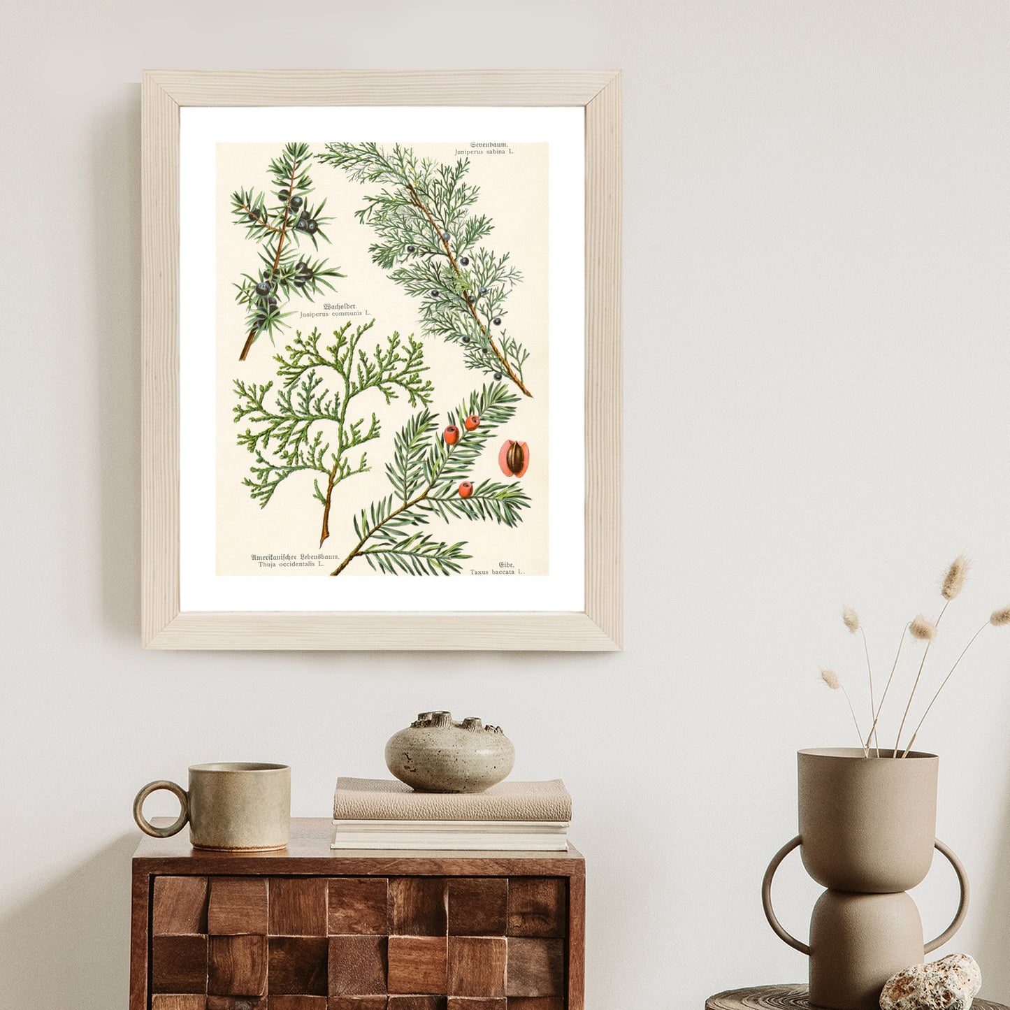 Poster Bilder Alter Botanischer Pflanzen Rahmen Aluminium Mit Passepartout Farbe Silber