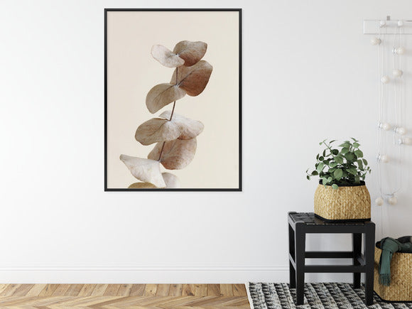 Poster Zweig Mit Trockenen Eukalyptusblättern