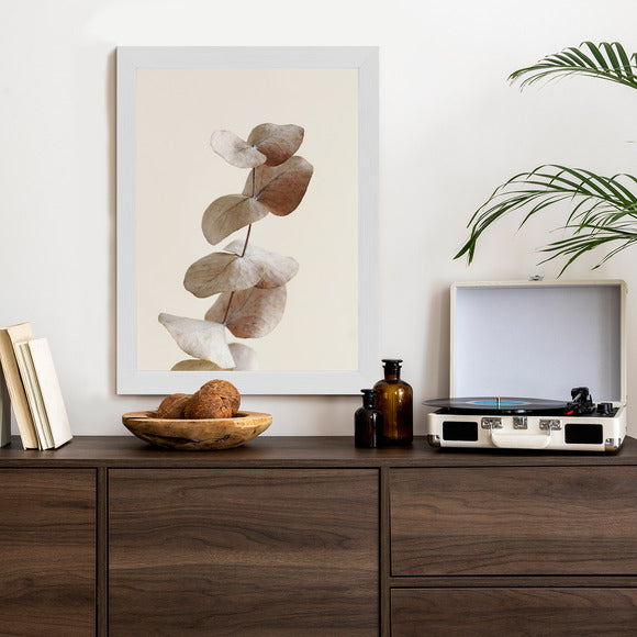 Poster Zweig Mit Trockenen Eukalyptusblättern