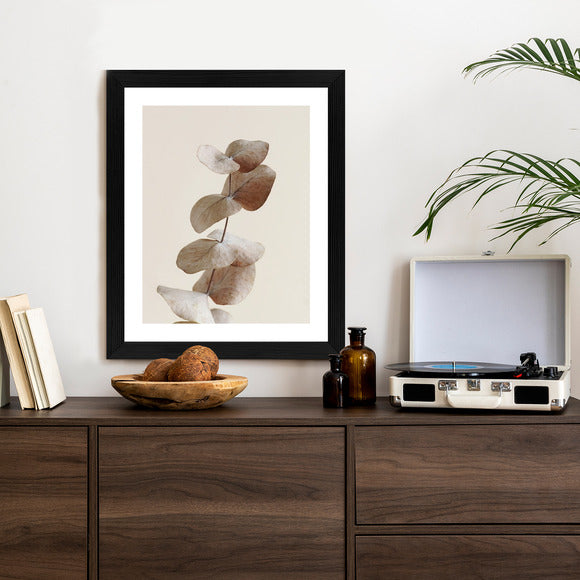 Poster Zweig Mit Trockenen Eukalyptusblättern
