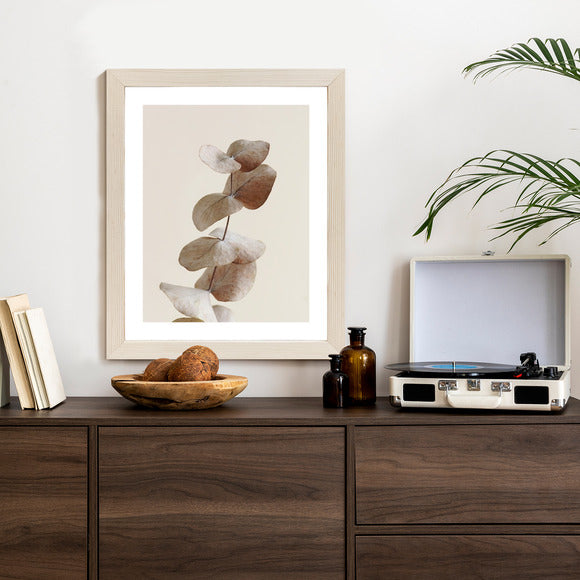 Poster Zweig Mit Trockenen Eukalyptusblättern