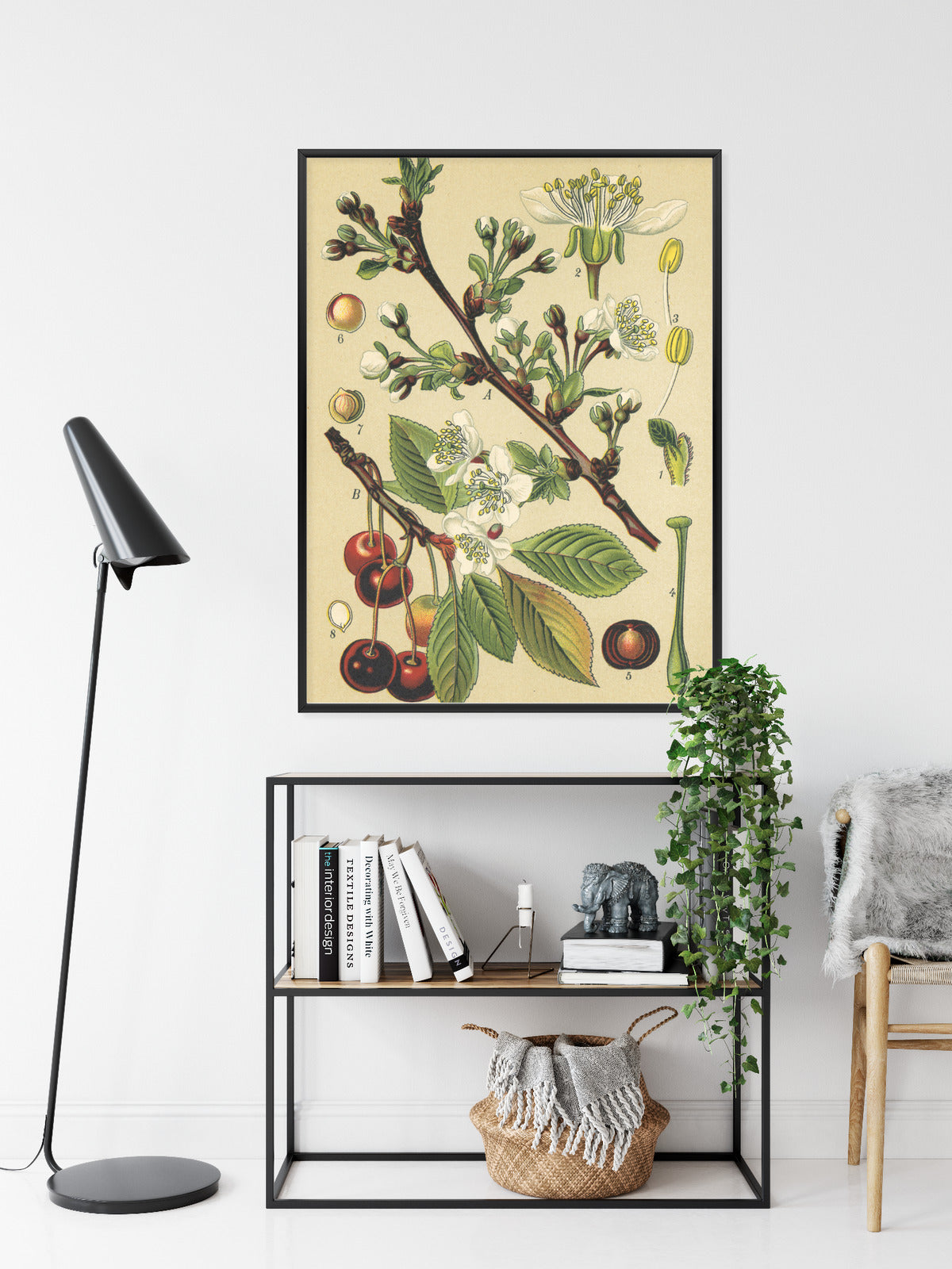 Poster Vintage Botanische Illustration Von Kirschblüten Rahmen Holz Mit Passepartout Farbe Natürlich