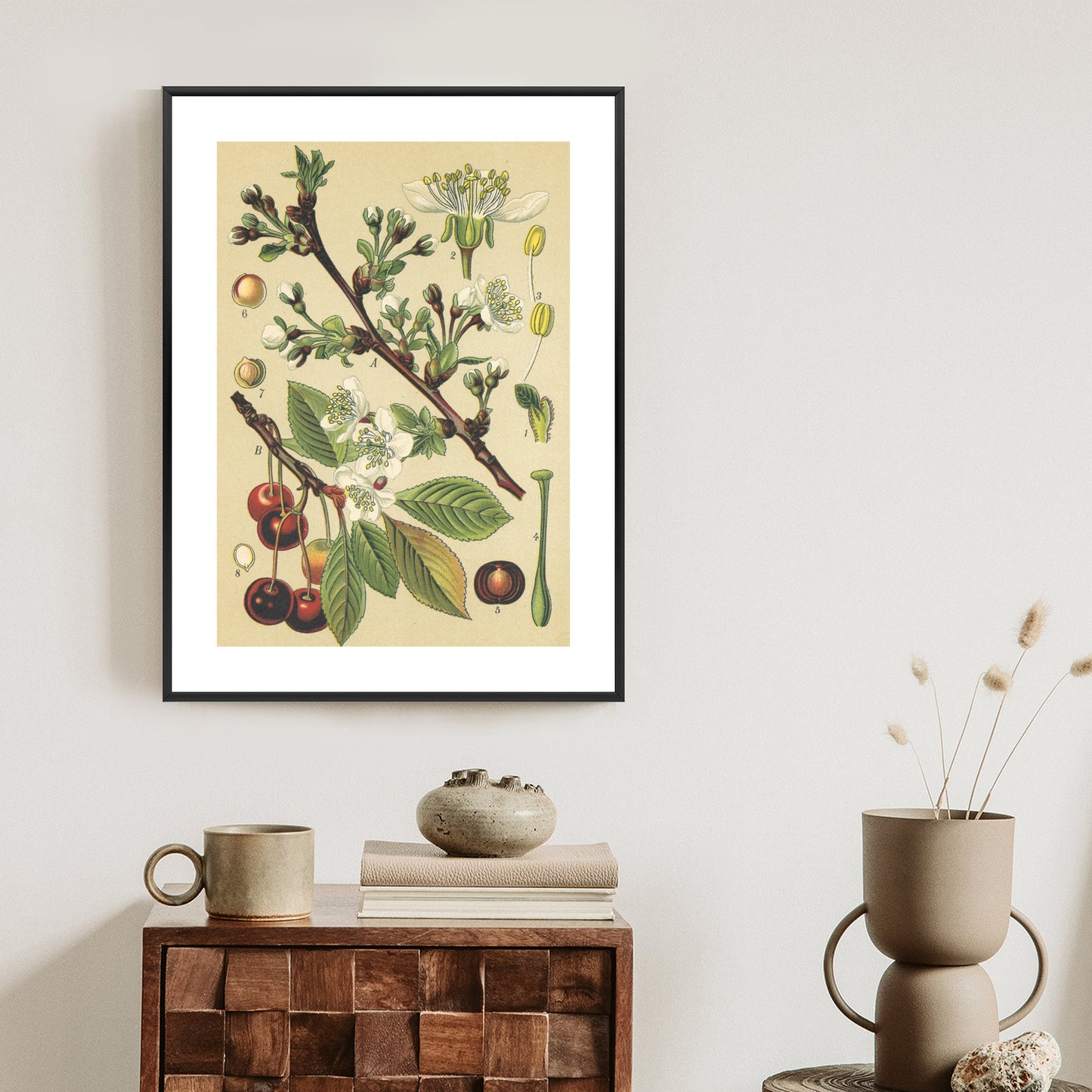 Poster Vintage Botanische Illustration Von Kirschblüten Rahmen Holz Mit Passepartout Farbe Natürlich