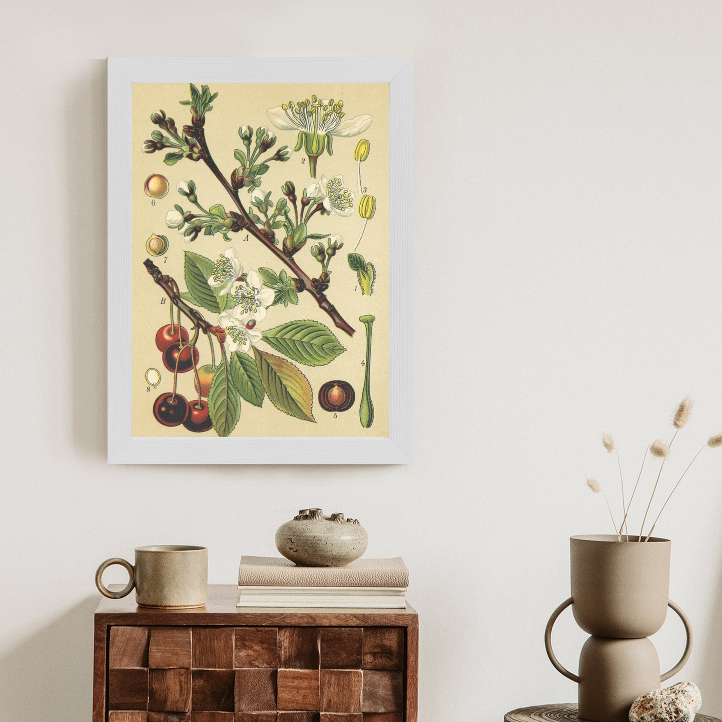 Poster Vintage Botanische Illustration Von Kirschblüten Rahmen Holz Mit Passepartout Farbe Natürlich