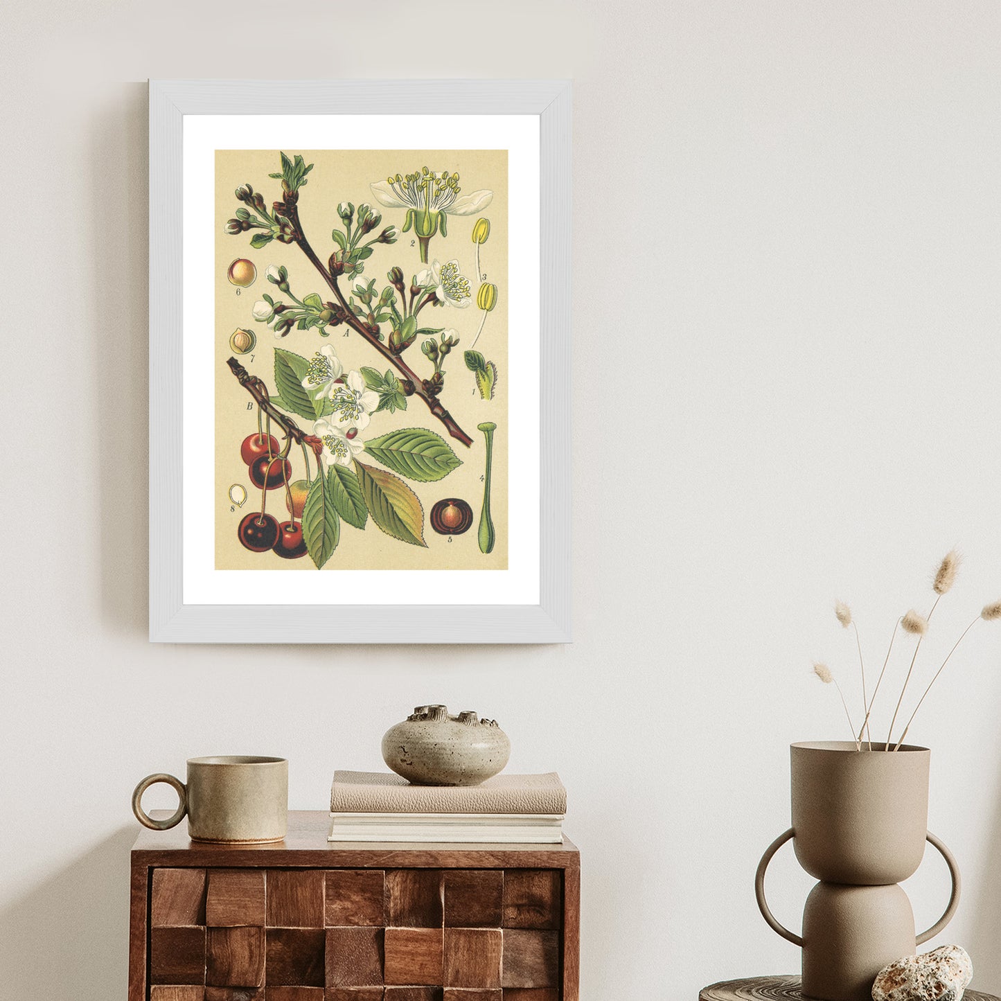 Poster Vintage Botanische Illustration Von Kirschblüten Rahmen Holz Mit Passepartout Farbe Natürlich