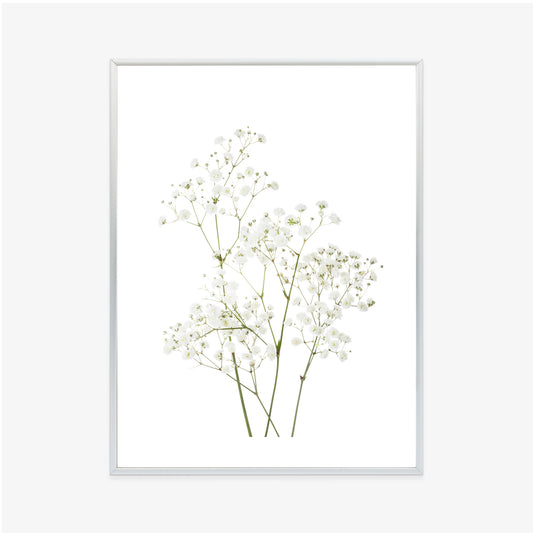 Poster Vier Zweige Mit Kleinen Weißen Blüten