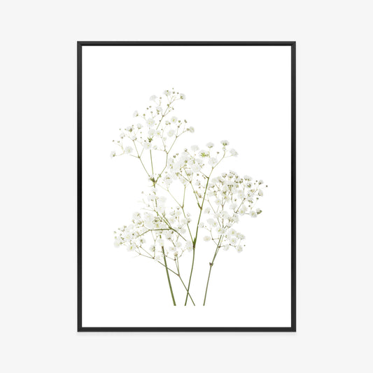 Poster Vier Zweige Mit Kleinen Weißen Blüten