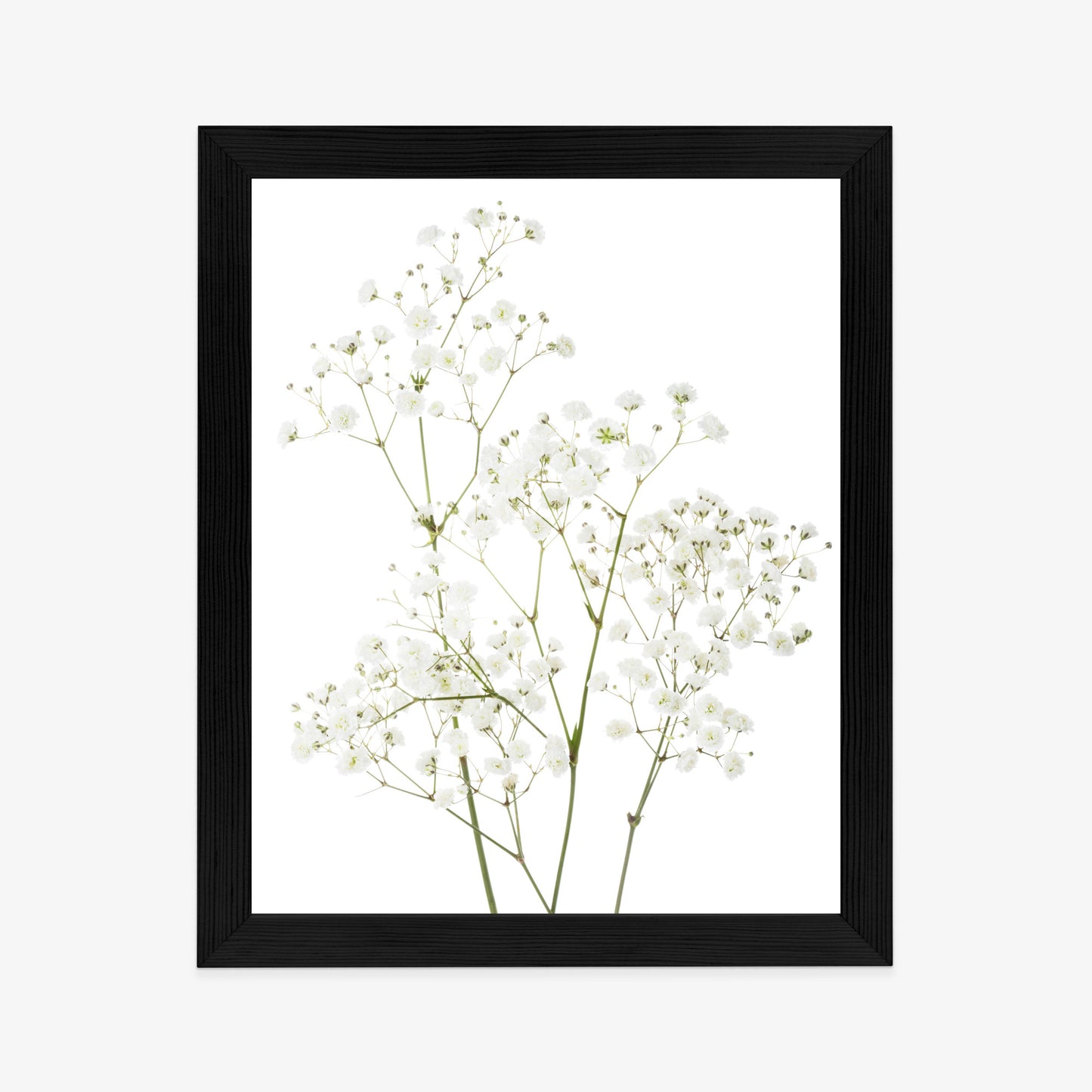 Poster Vier Zweige Mit Kleinen Weißen Blüten