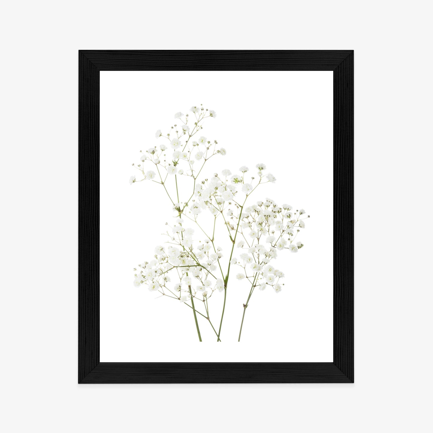 Poster Vier Zweige Mit Kleinen Weißen Blüten