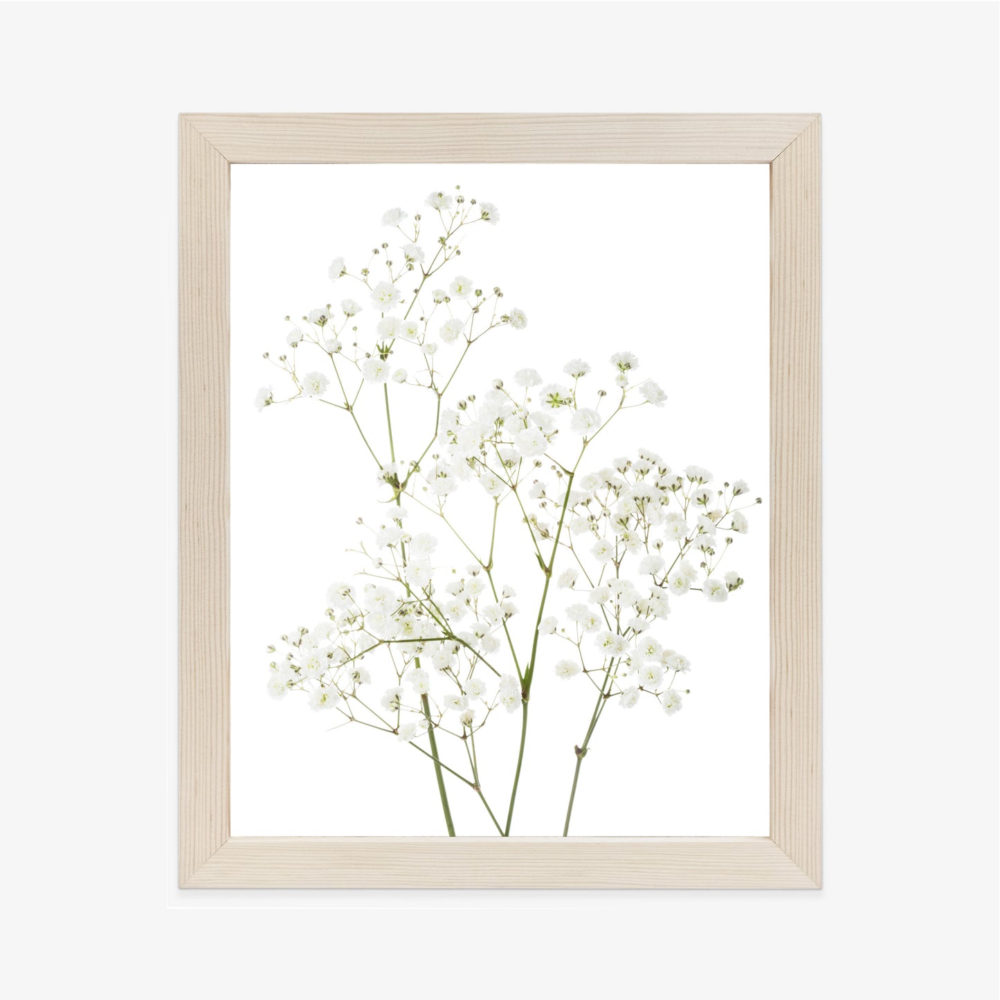 Poster Vier Zweige Mit Kleinen Weißen Blüten