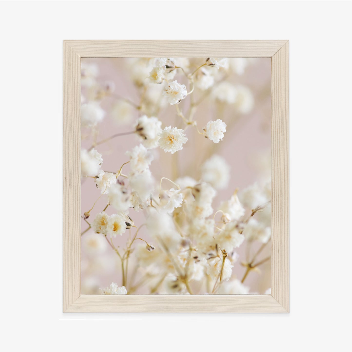 Poster Weiße Kleine Blumen Auf Rosa Hintergrund