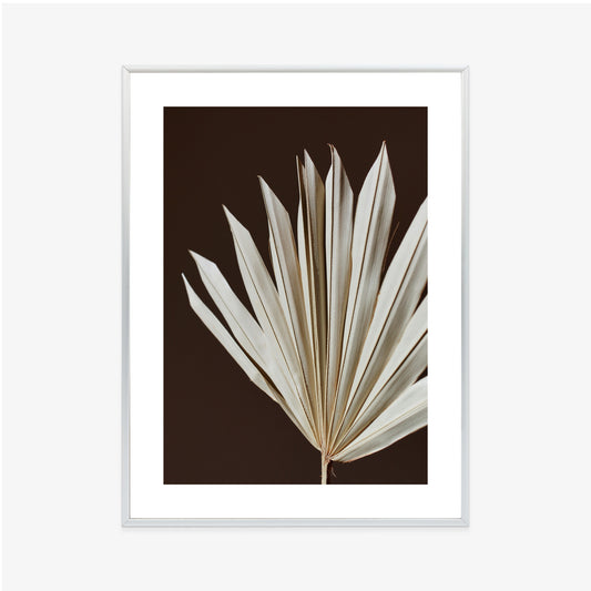 Poster Trockene Palme Auf Braunem Hintergrund Rahmen Holz Mit Passepartout Farbe Natürlich