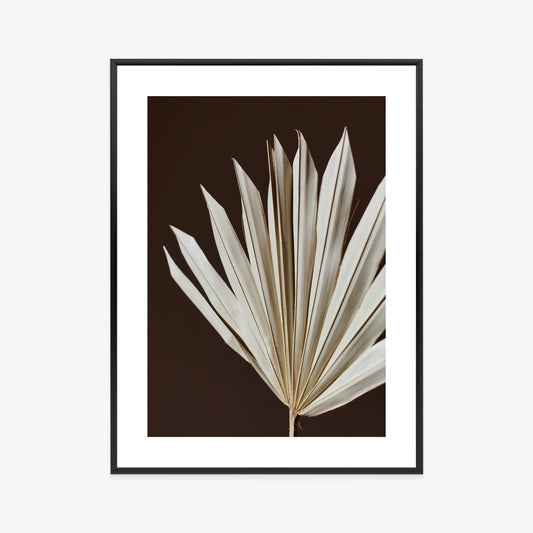 Poster Trockene Palme Auf Braunem Hintergrund Rahmen Holz Mit Passepartout Farbe Natürlich