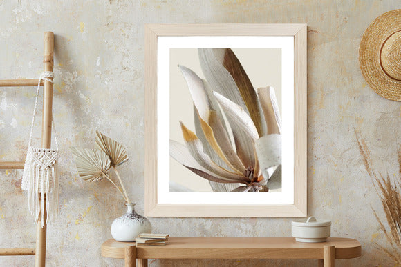 Poster Trockene Protea-Blätter Rahmen Holz Mit Passepartout Farbe Natürlich