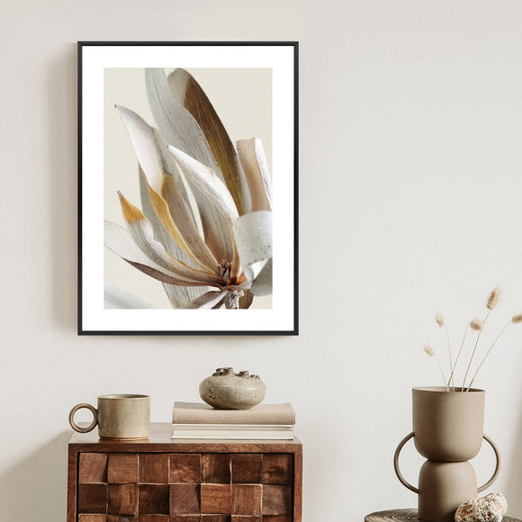 Poster Trockene Protea-Blätter Rahmen Holz Mit Passepartout Farbe Natürlich