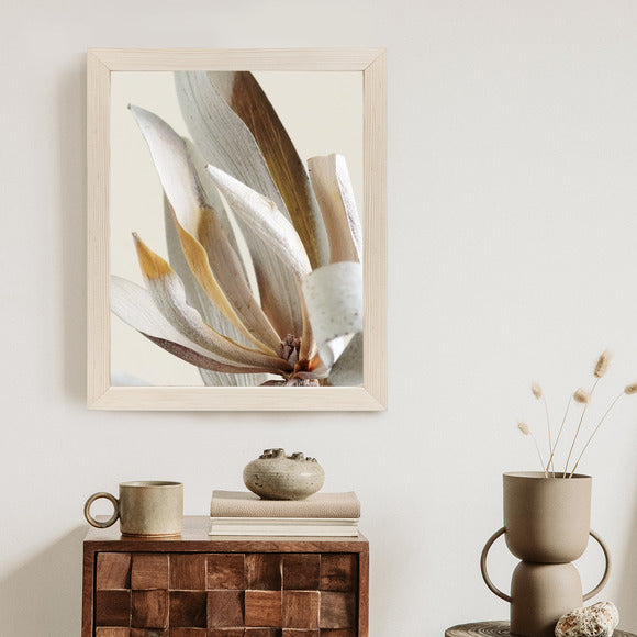 Poster Trockene Protea-Blätter Rahmen Holz Mit Passepartout Farbe Natürlich