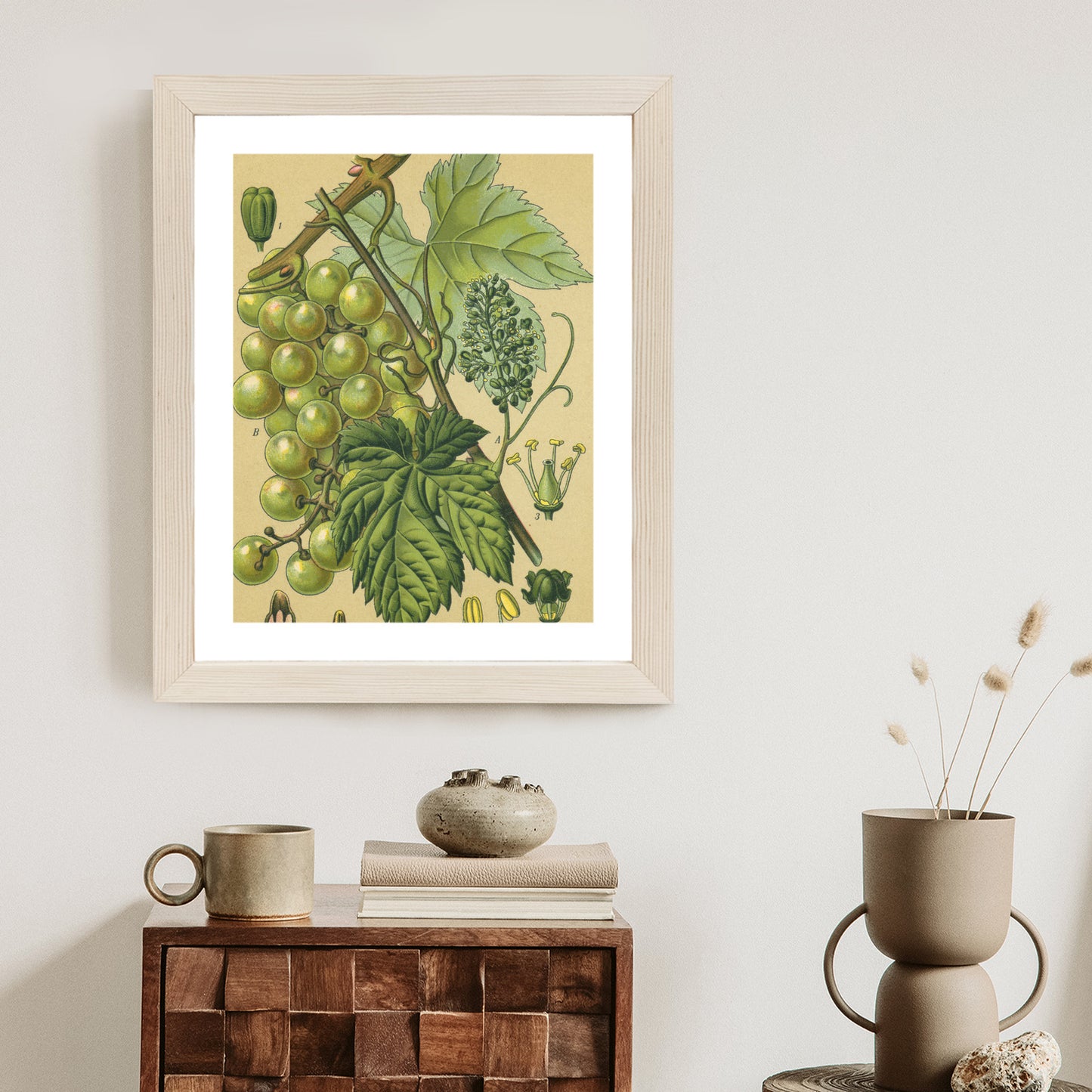 Poster Vintage Botanische Illustration Von Trauben Mit Blättern