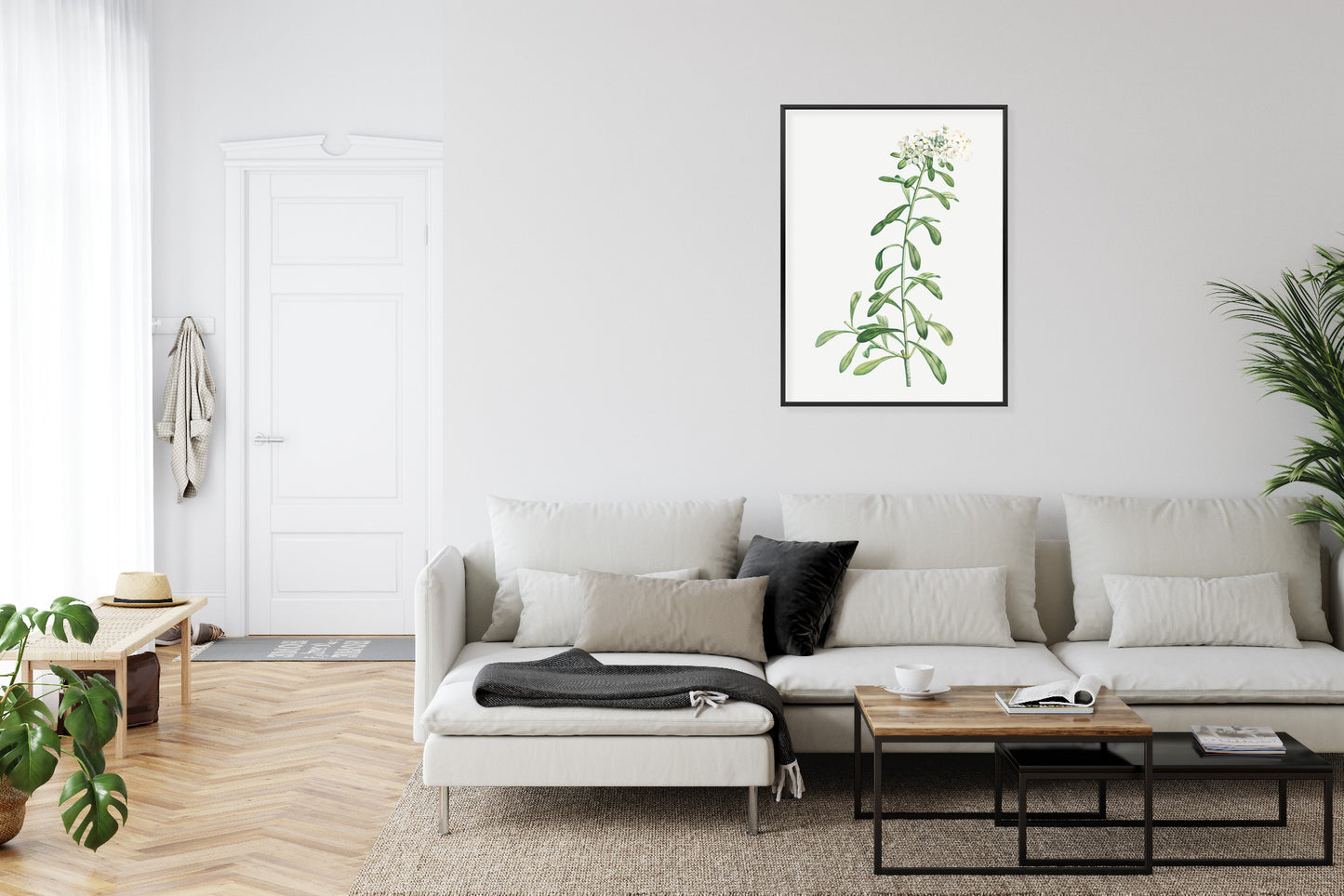 Poster Eine Kleine Weiße Pflanze