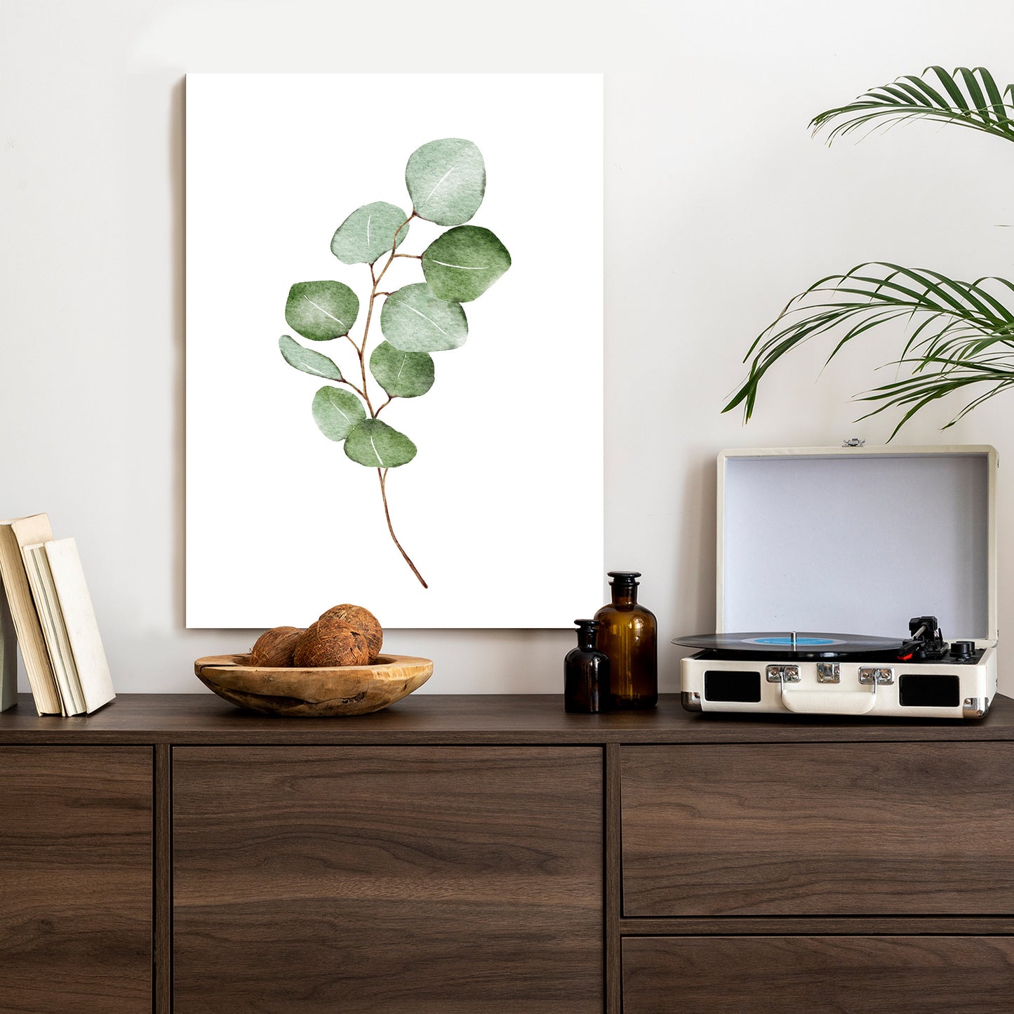 Poster Grüner Aquarell-Eukalyptuszweig Isoliert Auf Weißem Hintergrund