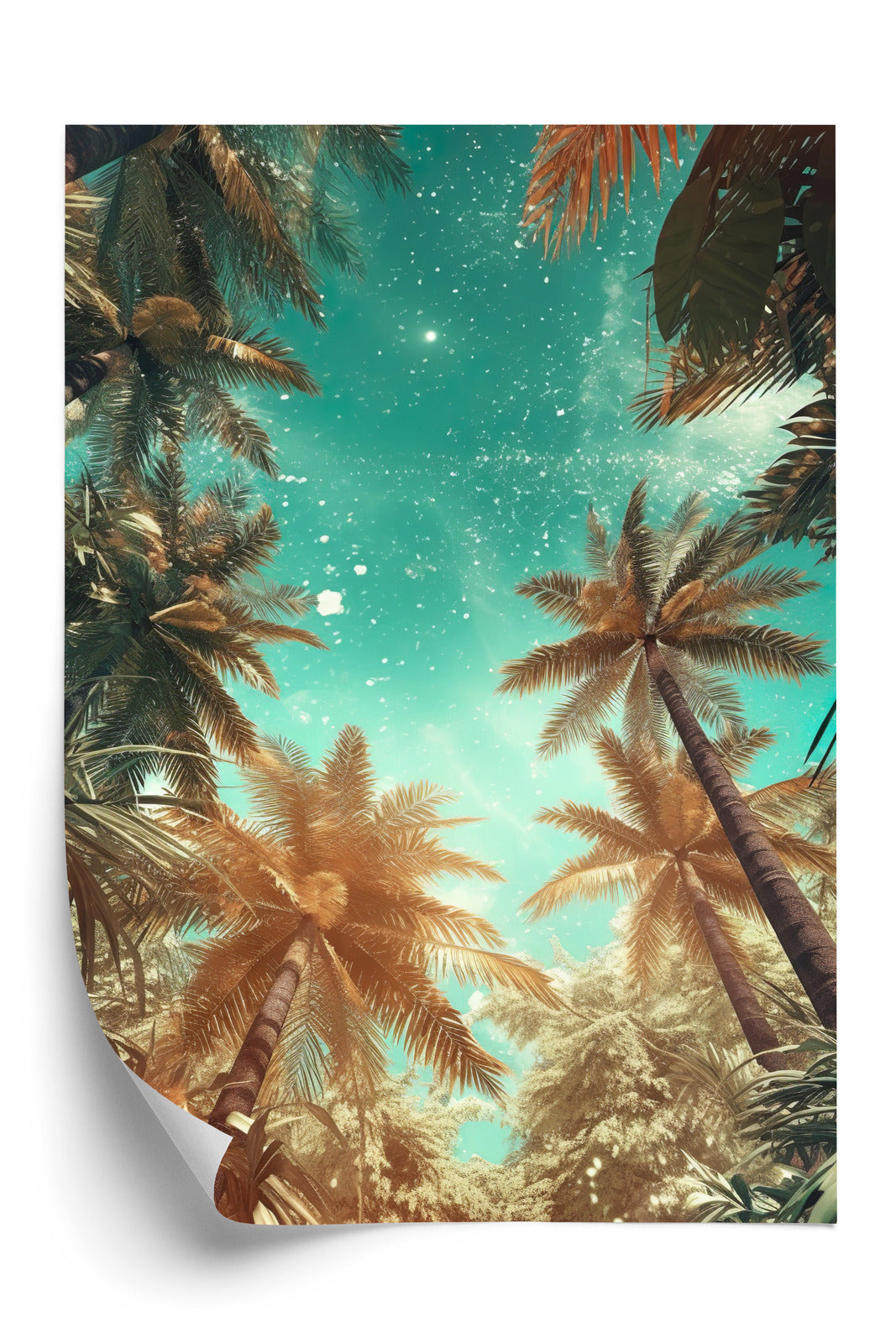 Poster Schöne Sommerpalmen Mit Sternen
