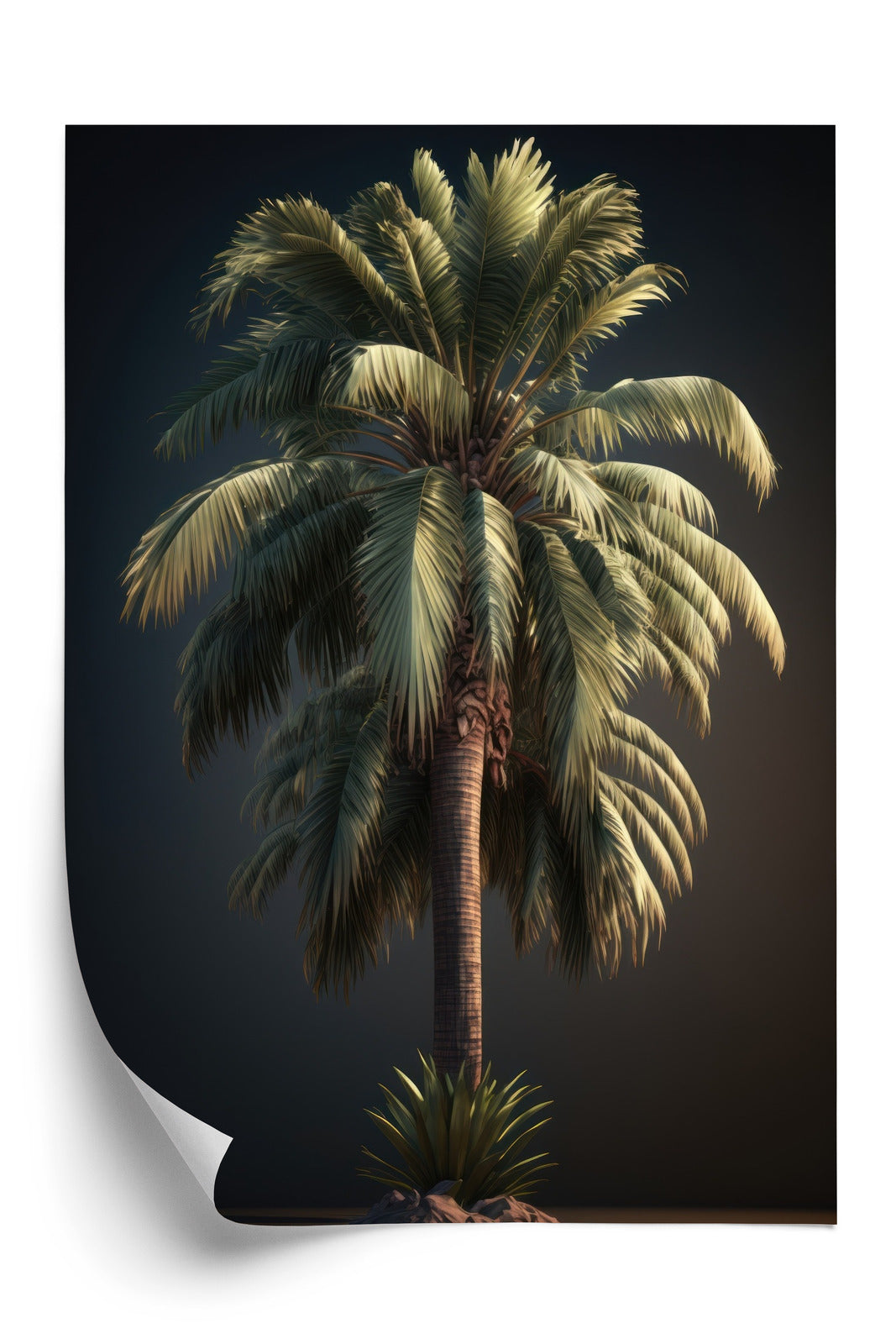 Poster Einsame Palme Auf Dunklem Hintergrund Rahmen Holz Mit Passepartout Farbe Natürlich