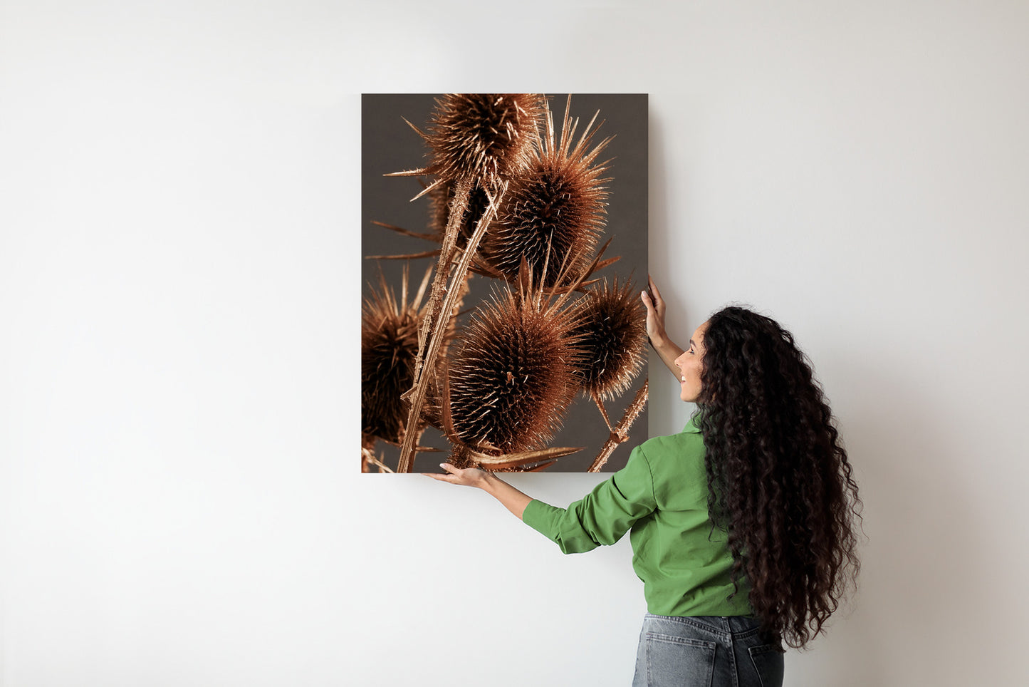 Poster Trockene Klette Rahmen Holz Mit Passepartout Farbe Weiß
