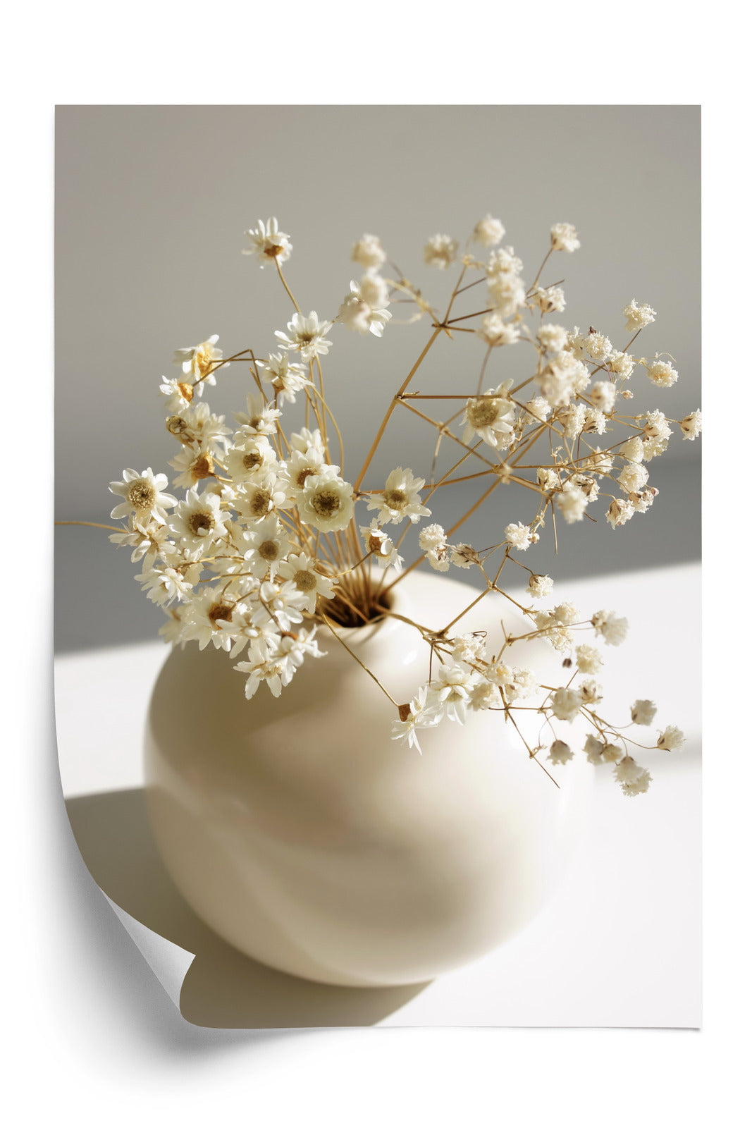 Poster Eine Vase Mit Trockenen Gänseblümchen