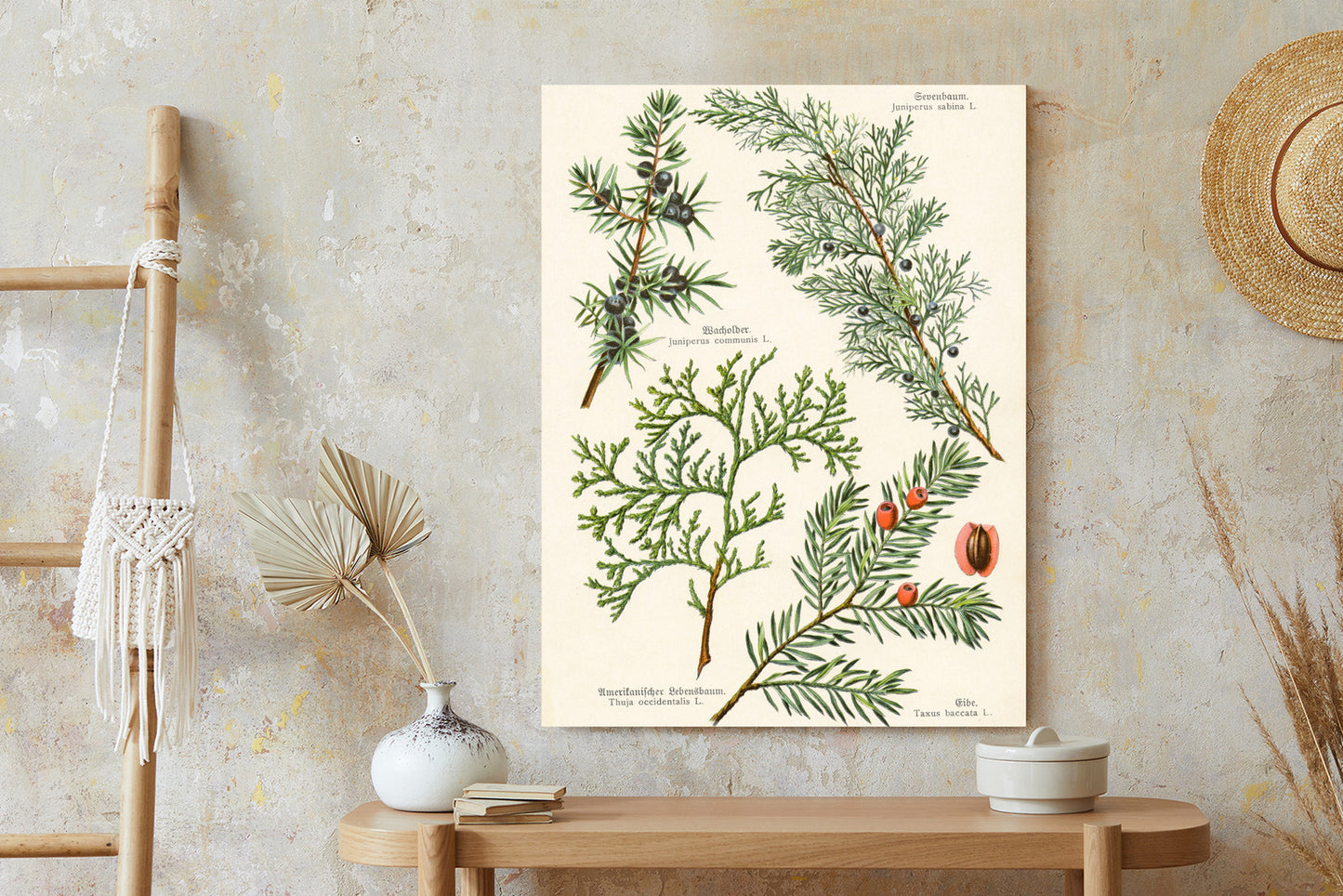 Poster Bilder Alter Botanischer Pflanzen Rahmen Aluminium Mit Passepartout Farbe Silber