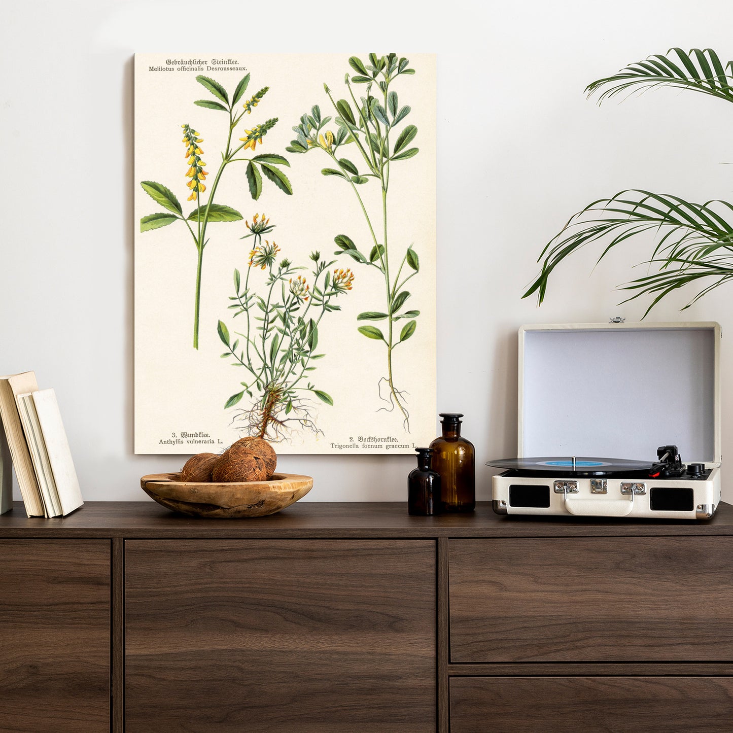 Poster Verschiedene Botanische Pflanzen Rahmen Holz Mit Passepartout Farbe Natürlich
