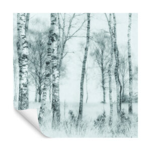 Fototapete Quadratisch Schwarz-Weiß Von Nel Talen