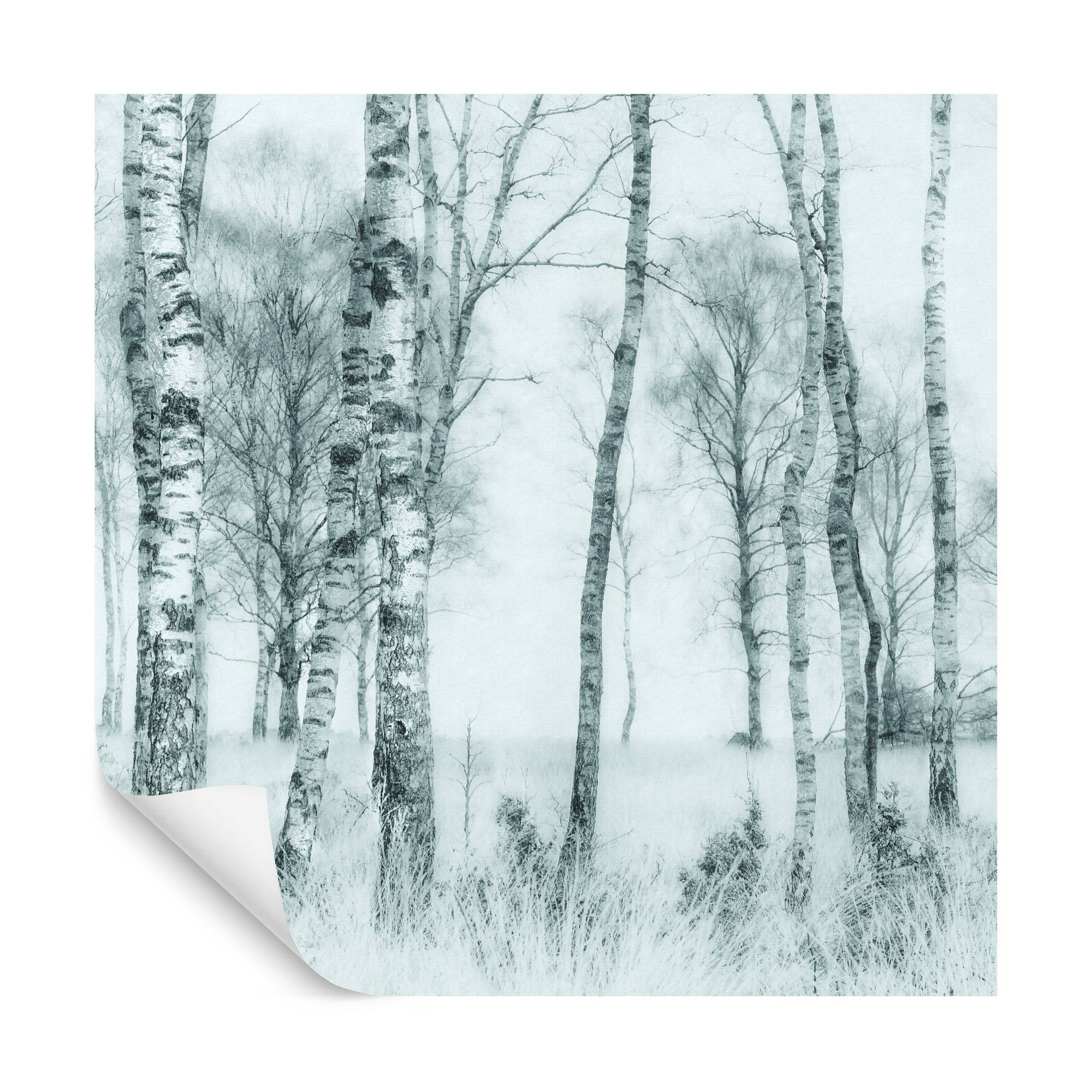 Fototapete Quadratisch Schwarz-Weiß Von Nel Talen