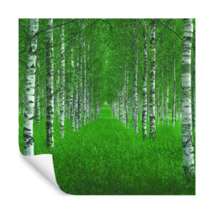 Fototapete Quadratisch Tunnel Von Christian Lindsten