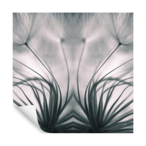 Fototapete Quadratisch Löwenzahn Von Keren Or