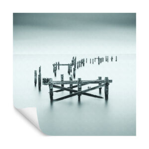 Fototapete Quadratisch Standing Firmish Von Robert Bolton