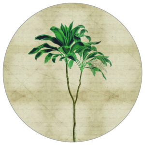 Fototapete Rund Tropische Pflanzen Iii