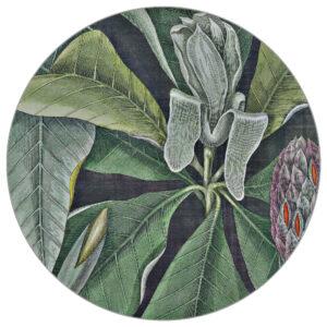 Fototapete Rund Vintage-Botanicals Vi