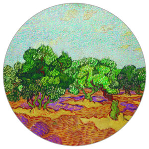 Fototapete Rund Olivenbäume