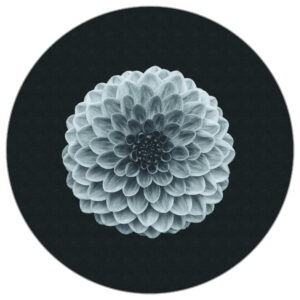 Fototapete Rund Symmetrie