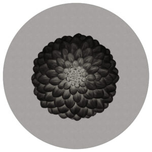 Fototapete Rund Symmetrie Im Negativ