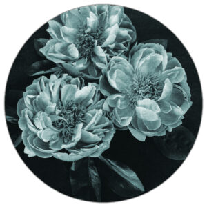 Fototapete Rund Dunkle Blumen