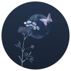 Fototapete Rund Abendflattern