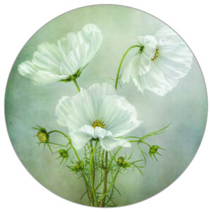 Fototapete Rund Charme Des Kosmos Von Mandy Disher