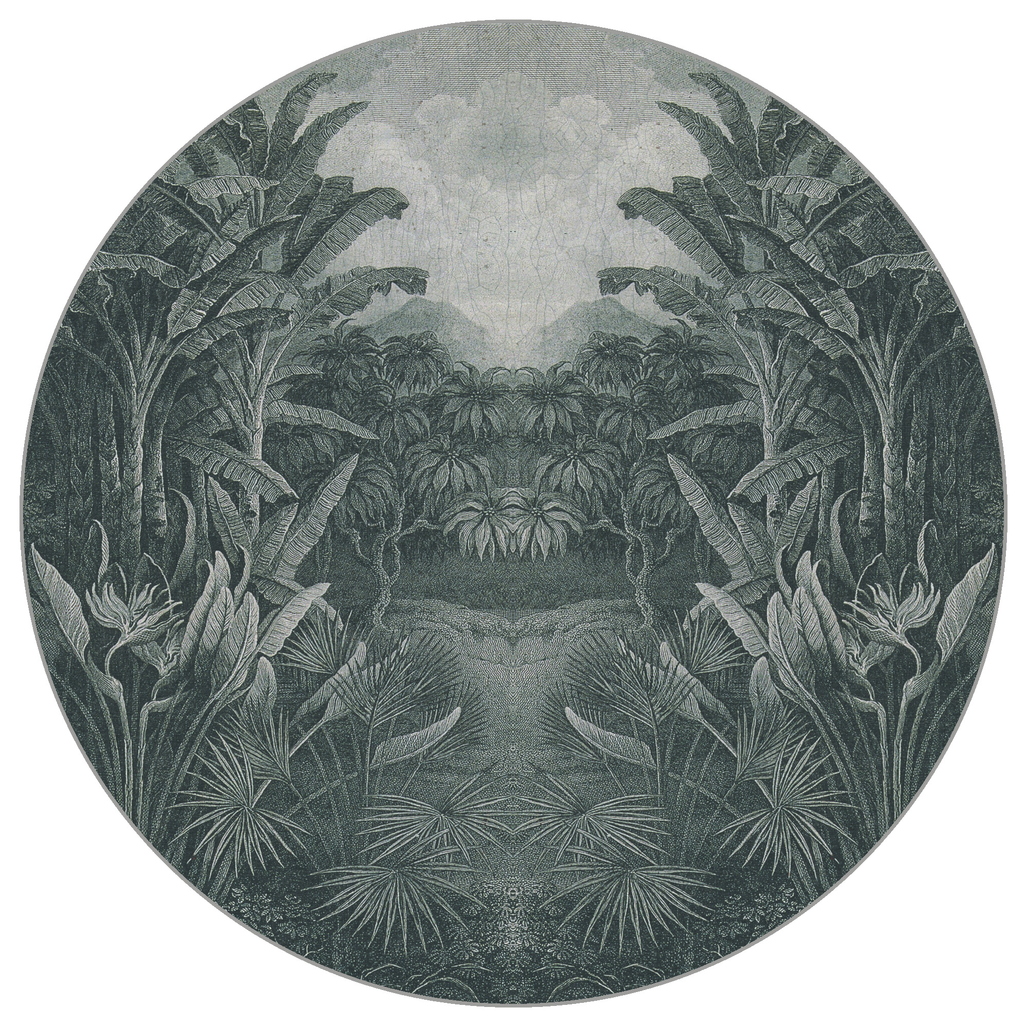 Fototapete Rund Jungle Noir