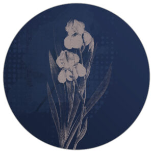 Fototapete Rund Dunkle Tropische Pflanzen Ii