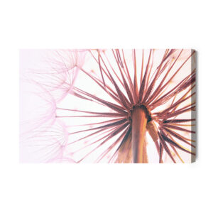 Leinwandbild Löwenzahnsamen