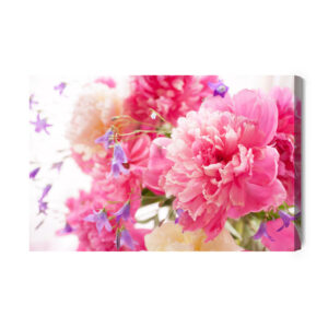 Leinwandbild Rosa Pfingstrosen