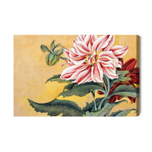 Leinwandbild Pfingstrosen Mit Blättern